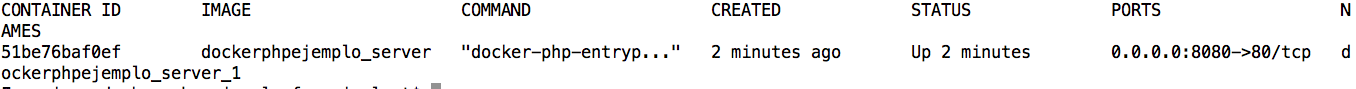 docker ps